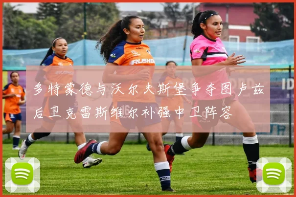 多特蒙德与沃尔夫斯堡争夺图卢兹后卫克雷斯维尔补强中卫阵容