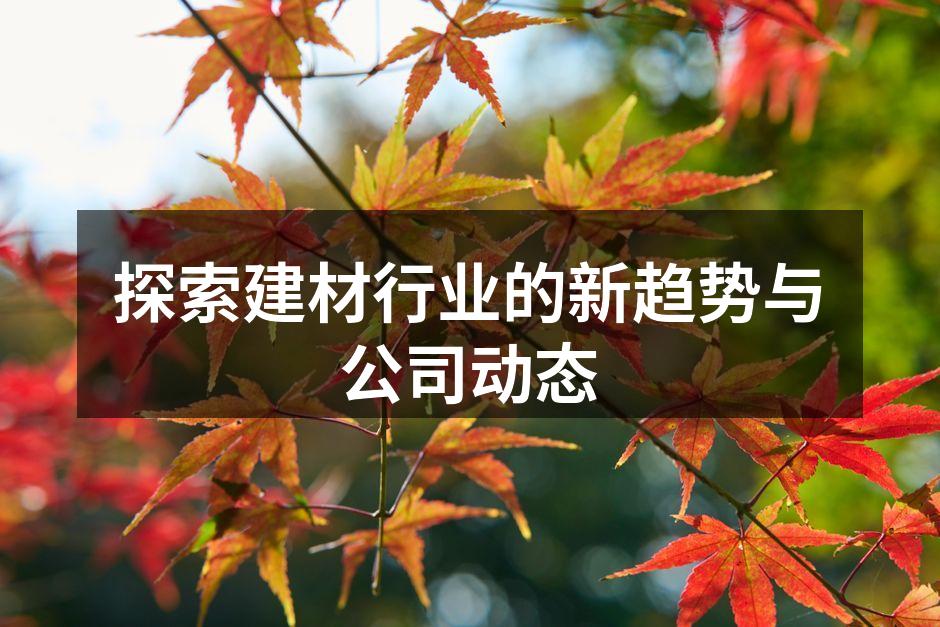 探索建材行业的新趋势与公司动态